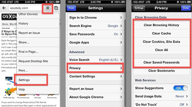 Screenshot of mobile Chrome settings, highlighting "Privacy" options for managing browsing data like history and saved passwords.