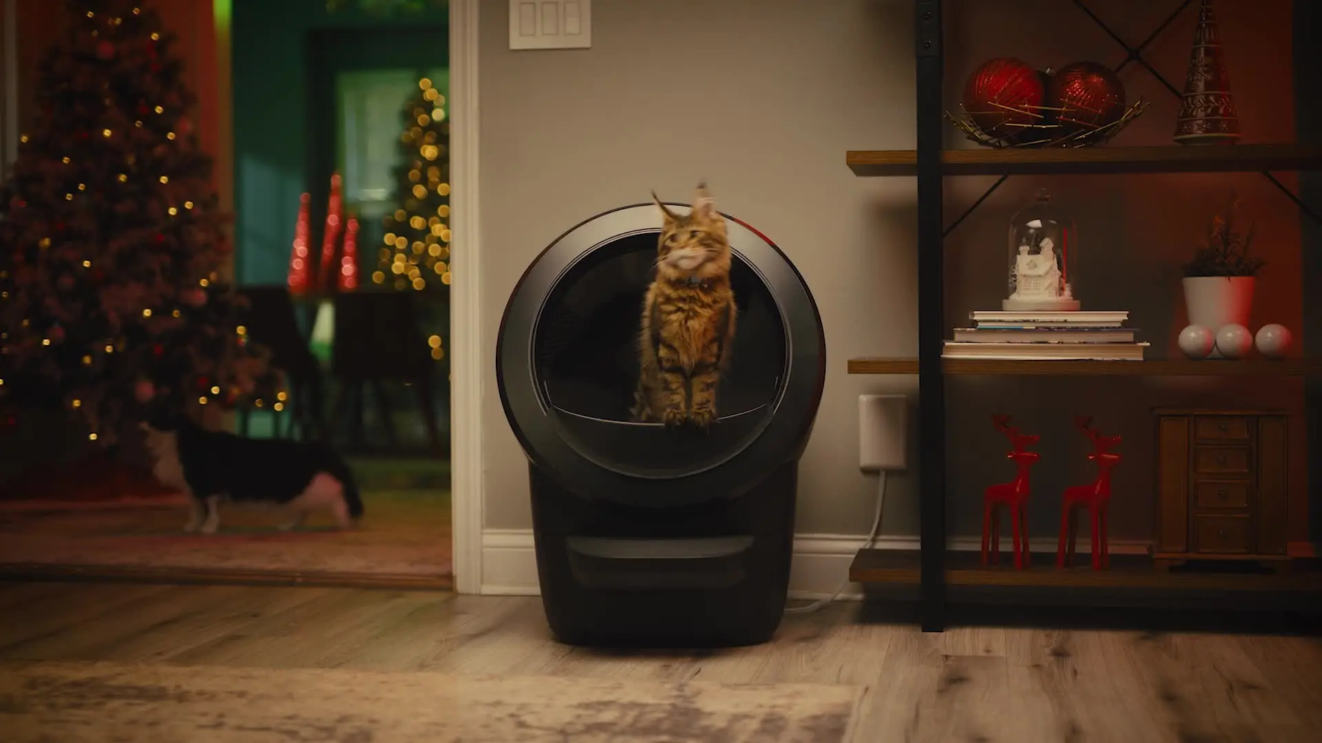 Litter Robot Explained: How It Works & Whether It’s Worth It