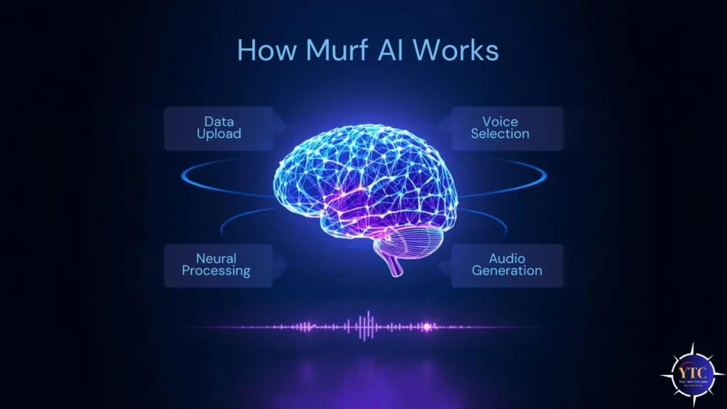 Infographic illustrating how Murf AI works with steps: Data Upload, Voice Selection, Neural Processing, and Audio Generation.