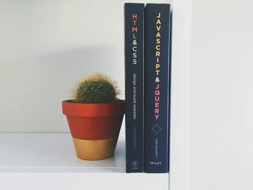 Two technical books, “HTML & CSS: Design and Build Websites” and “JavaScript & jQuery” by Jon Duckett, standing upright on a white shelf beside a small potted cactus in a terracotta-and-gold pot, suggesting foundational web development learning resources.