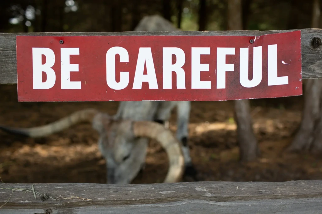 A weathered red sign with bold white text reading “BE CAREFUL” mounted on a wooden fence, with a blurred background showing a large-horned animal (likely a Texas longhorn) in a natural, wooded setting - serving as a literal warning sign in a rural or ranch environment.