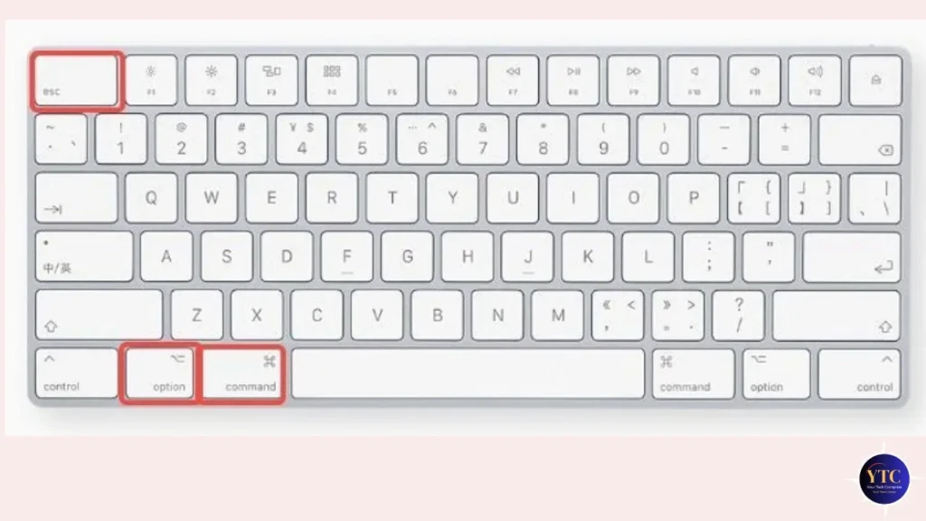 A close-up of a white Apple keyboard with red boxes around the Escape (ESC), Option, and Command keys, indicating the key combination (⌘+⌥+Esc) used to force-quit unresponsive applications on macOS.