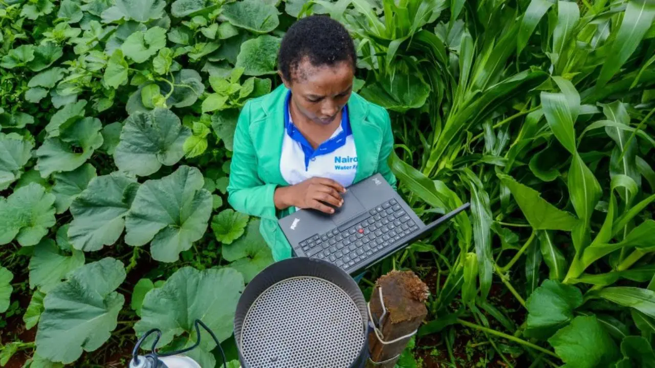 A person in a green field holds a laptop, surrounded by lush, leafy crops. They look focused and engaged, conveying a sense of innovation in agriculture.