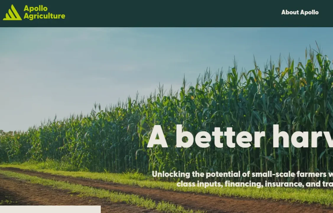 A lush cornfield under a clear sky with the text "A better harvest" in bold. The Apollo Agriculture logo is in the top left corner, conveying growth and optimism.