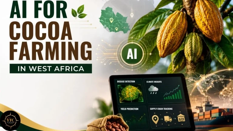 AI for Cocoa Farming in West Africa: Tackling Disease, Climate Shocks & Supply Chain Gaps